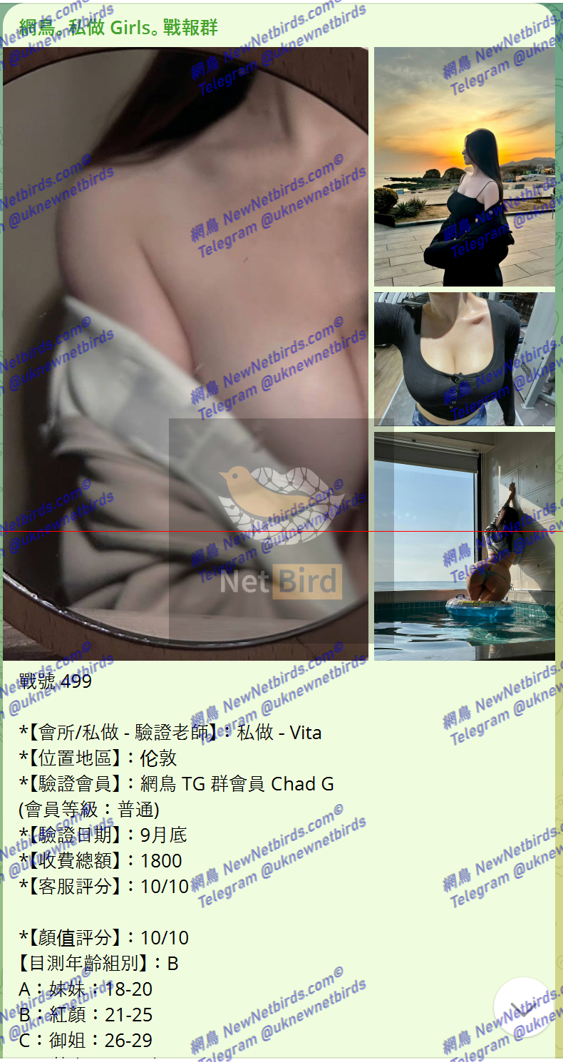 戰號 499 1.png